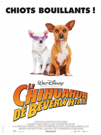 Le Chihuahua de Beverly Hills streaming