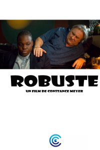 Robuste streaming