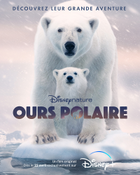 Ours Polaire streaming