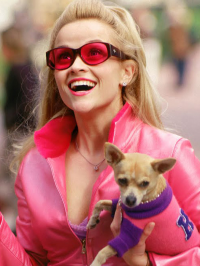 Legally Blonde 3 streaming