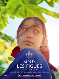 Sous les figues streaming