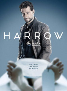Dr Harrow Saison 3 en streaming français
