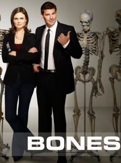 Bones Saison 1 en streaming français