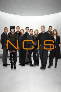 NCIS : Enquêtes spéciales saison 16 épisode 18