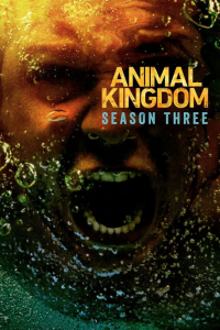 Animal Kingdom saison 3