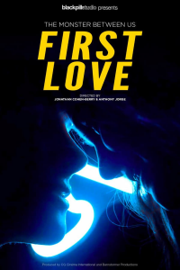 First Love Saison 1 en streaming français