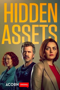 Hidden Assets (2021) saison 2