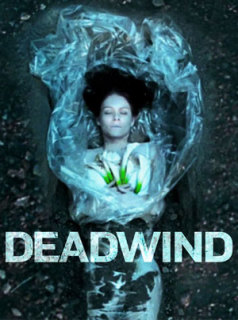 voir serie Deadwind saison 3