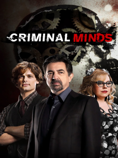 voir serie Esprits criminels saison 16
