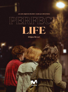 voir serie Perfect Life saison 2