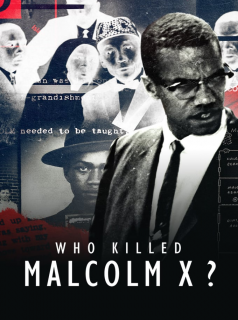 voir serie Who killed Malcolm X? saison 1