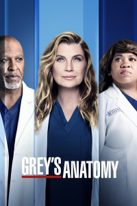 voir serie Grey's Anatomy saison 20