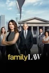 voir serie Family Law CA saison 1