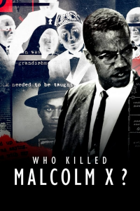 voir serie Qui a tué Malcolm X ? saison 1