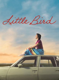 voir serie Little Bird saison 1
